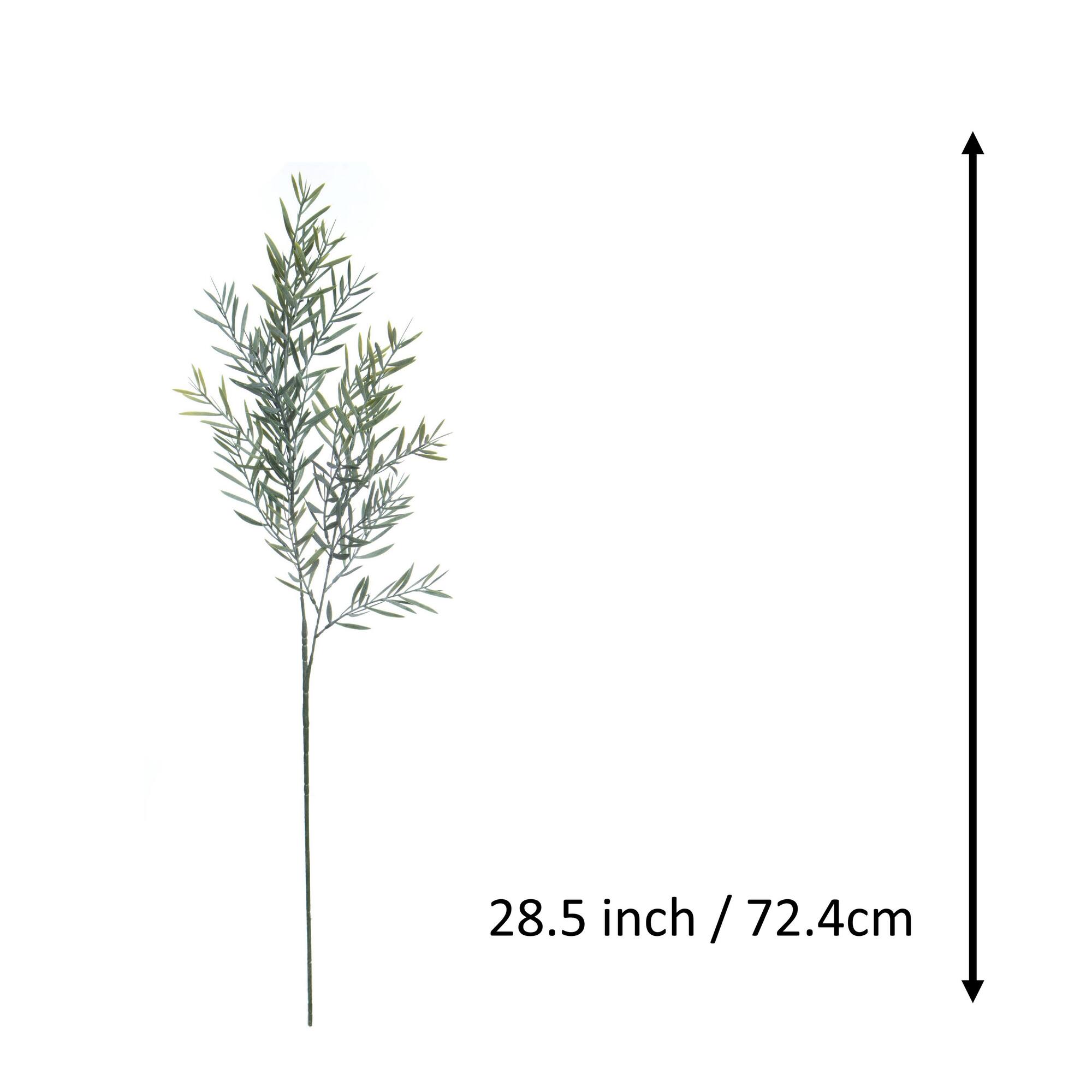 28.5" Green Acacia Leaf Stem by Ashland®